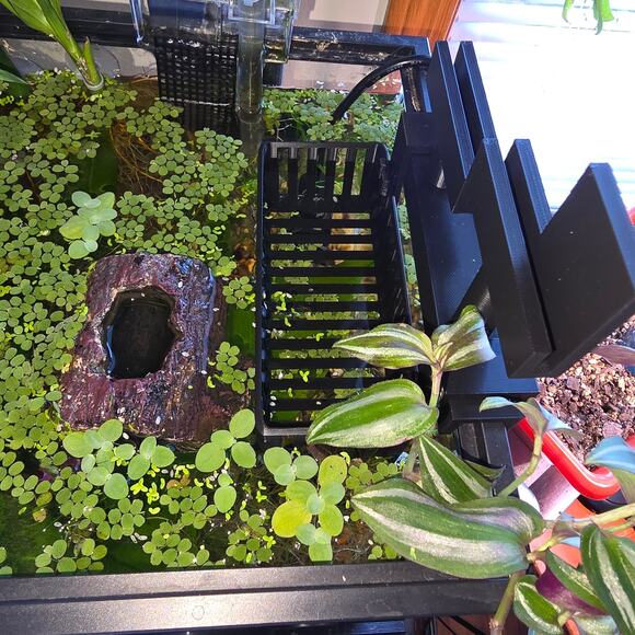 Aqua Hydroponic Aquarium KIT Staggered Light Risers Water Purifying Baskets Pots - Picture 2 of 11